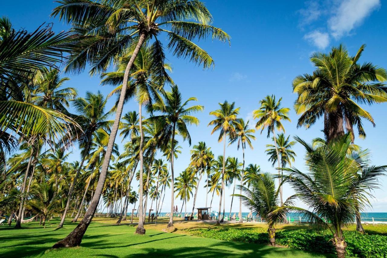 Paraiso Na Terra - Carneiros Beach Resort Tamandaré Εξωτερικό φωτογραφία