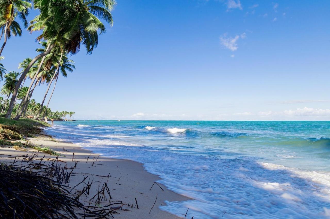 Paraiso Na Terra - Carneiros Beach Resort Tamandaré Δωμάτιο φωτογραφία